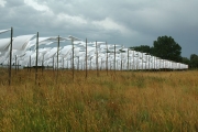 Handkerchiefs drying in the wind