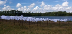 Zakdoeken-drogen-in-de-Wind-5-big